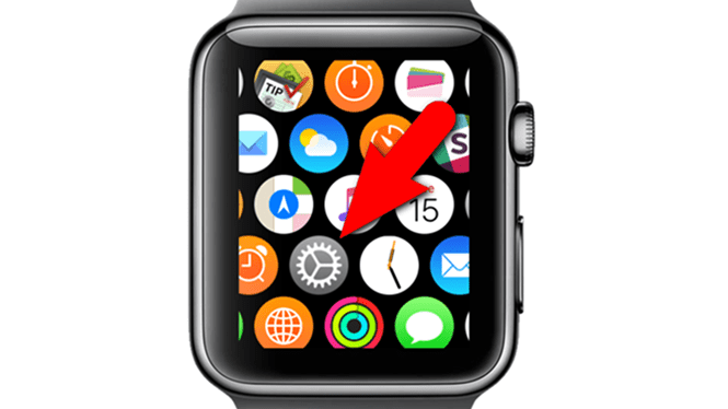 Hướng dẫn điều chỉnh cảm biến haptic trên Apple Watch hình 1